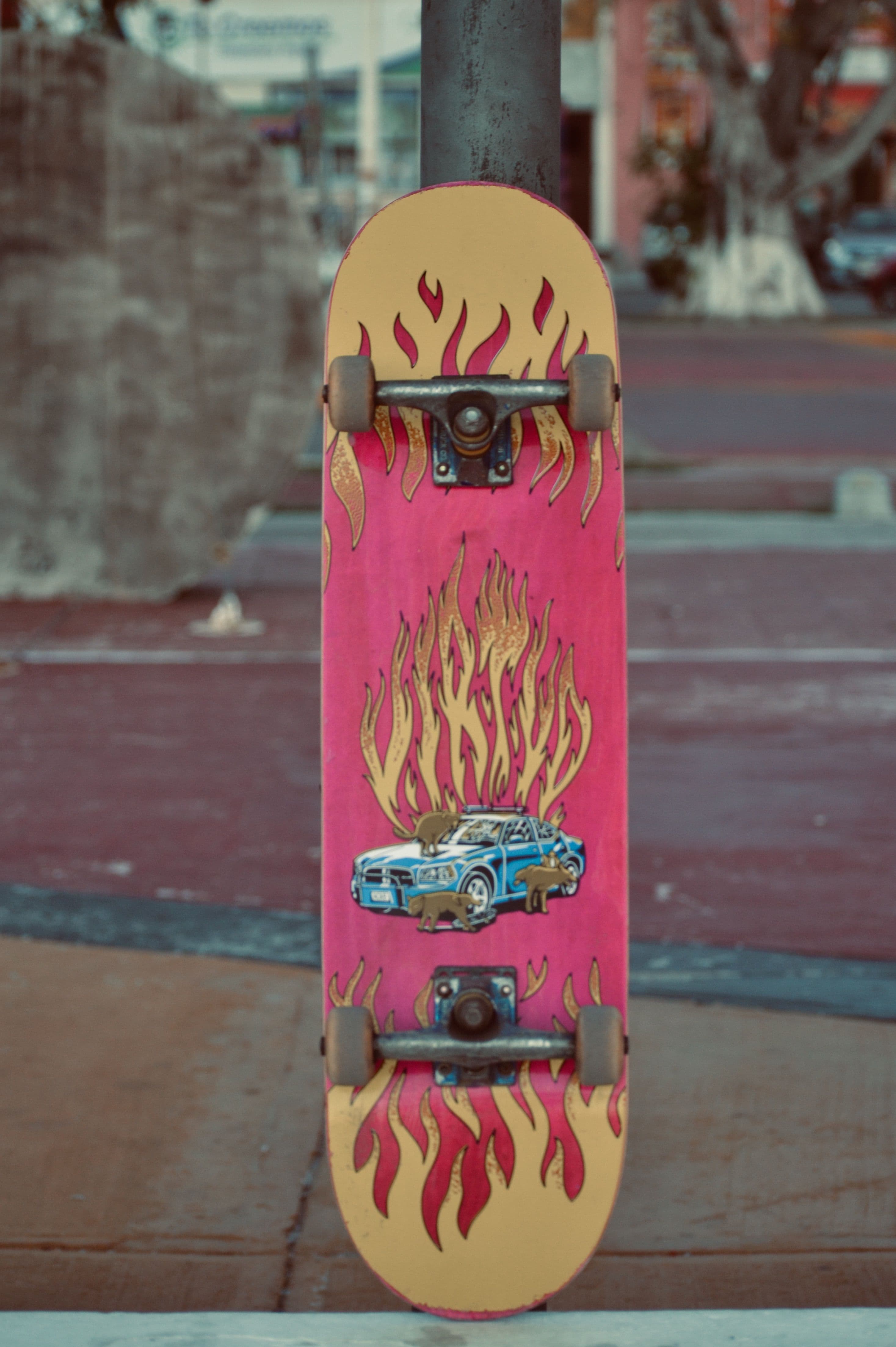 OCEAN SPRAY CARVE